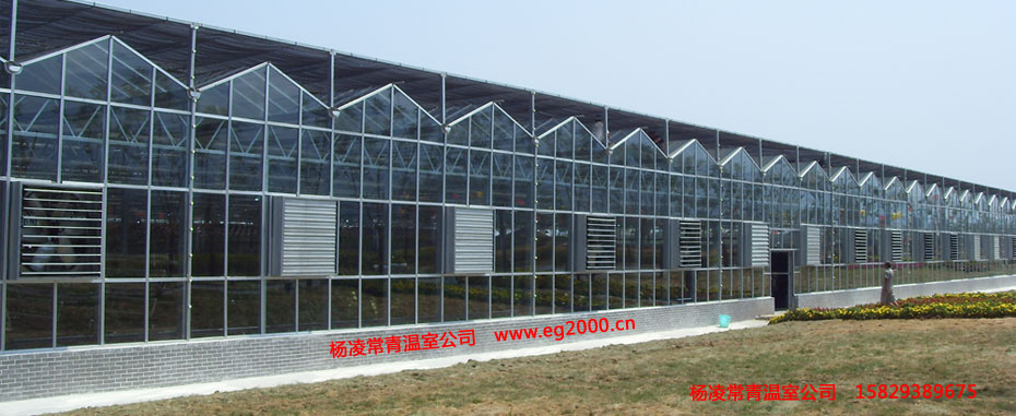 玻璃温室连栋-西安曲江农业博览园