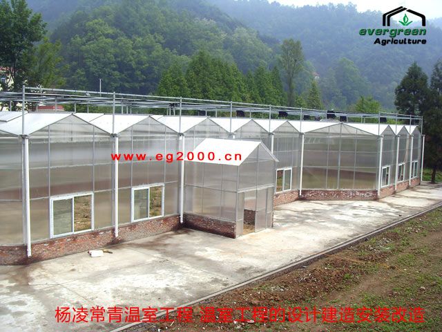 阳光板温室|陕西温室设计|陕西温室生态餐厅